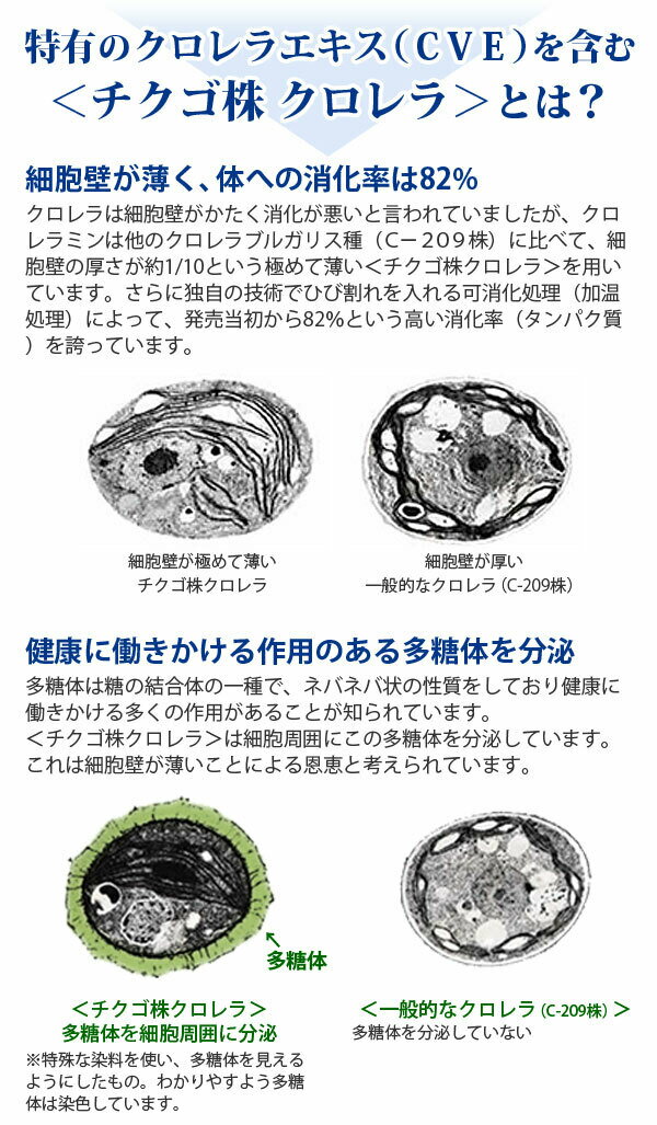 正規販売店 クロレラミンA 60ml×10本セット クロレラ工業 クロレラエキス 送料無料