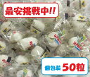 ペギャン・セ社 ペルーシュ キューブ ホワイト LaPerruche 50粒セット
