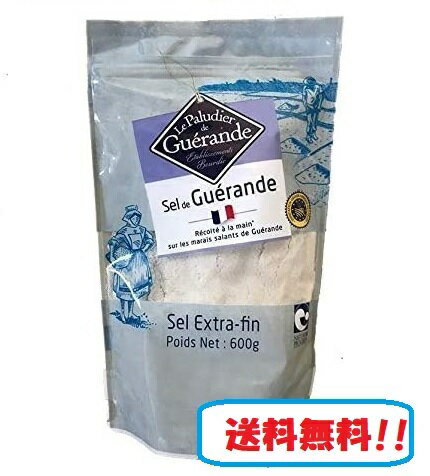 ゲランドの塩 微粒 600g エクストラファン 調味料 食塩 セルマランドゲランド 製菓 製パン お菓子 お料理に 塩 業務用 フランス 塩 ソルト 海塩