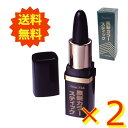 白髪 薄毛 トミーリッチ 黒髪カラースティック 4g ブラック ×2本