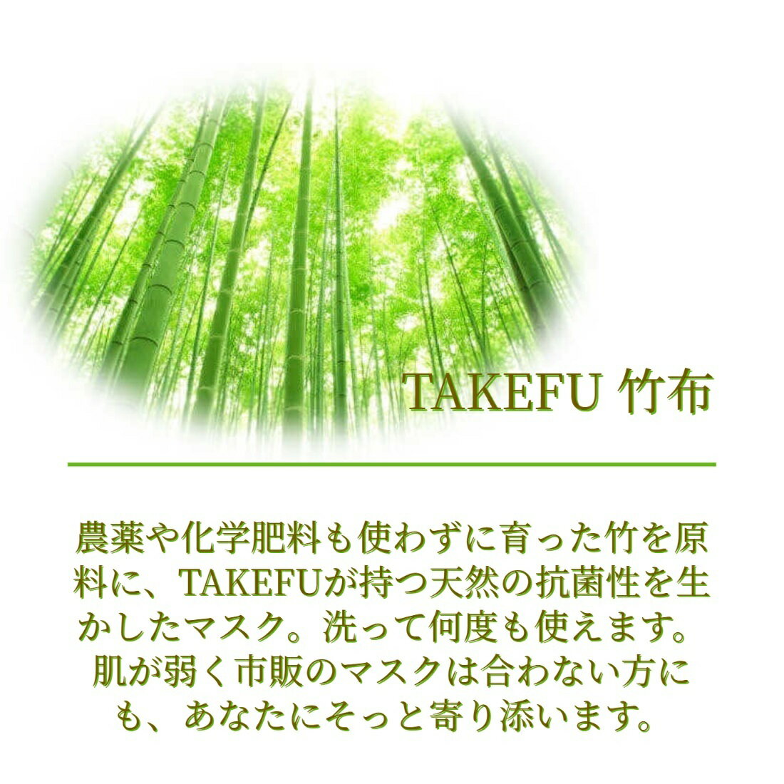 竹布 マスク TAKEFU うるおいマスク 布マスク 洗柿 あらいがき 2枚セット 2