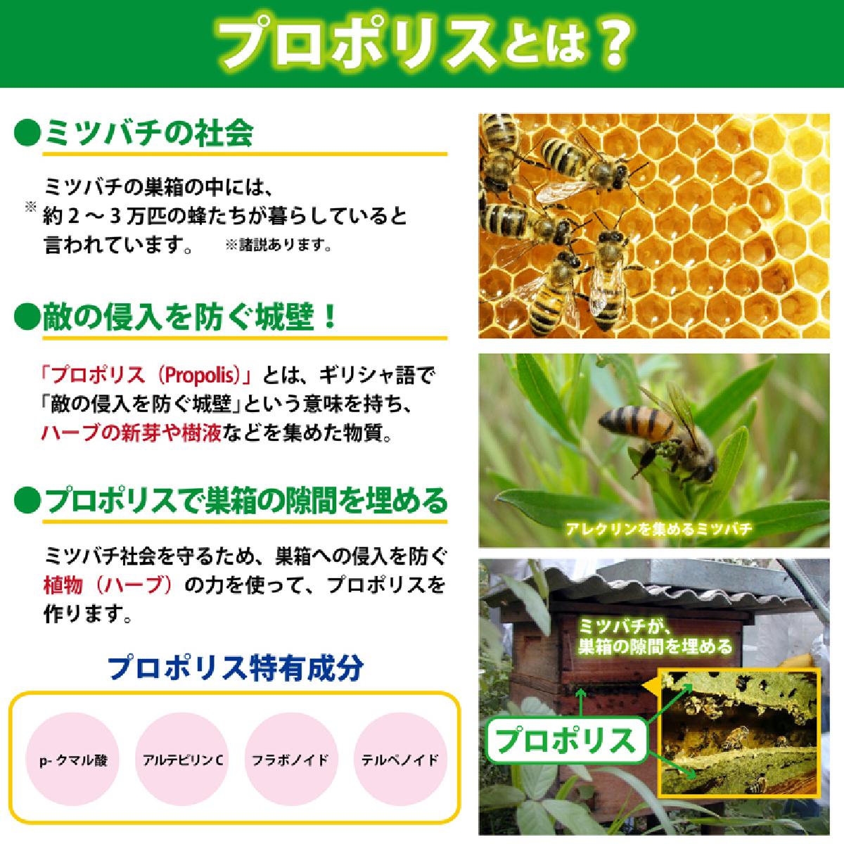 最も信頼できる 声のプロも愛用 森川のプロポリスキャンディ 森川健康堂 プロポリス キャンディー 100g 5袋セット のど飴 送料無料 健康