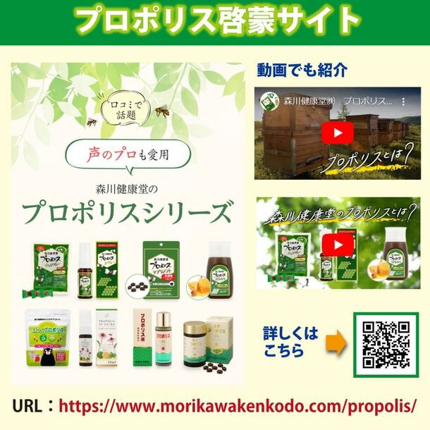 森川健康堂 プロポリス キャンディー 100g×6袋セット 健康 のど飴 送料無料 3