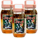 やないづ食品 ぶすの実酢 800ml×3本セット うまぶどう茶 うまぶどう酢 ノブドウ ウマブドウ 送料無料