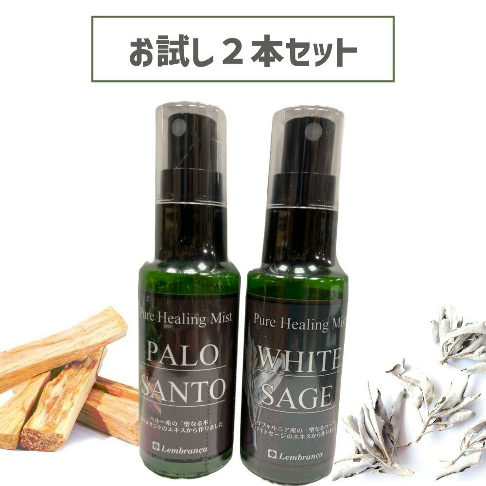 ۥ磻ȥ 50ml ѥ 50ml 1 2ܥå  ץ졼 ԥ奢ҡ󥰥ߥ  ־ ѥȡ