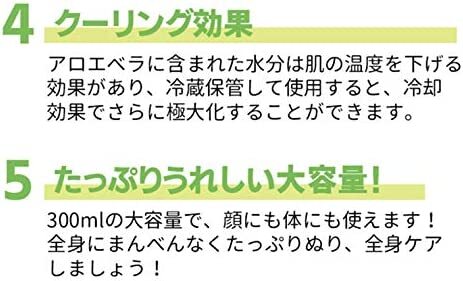 ダーマル 韓国コスメ レッツスキン アロエスーディングゲル 98% 300ml 正規品 ボディクリーム