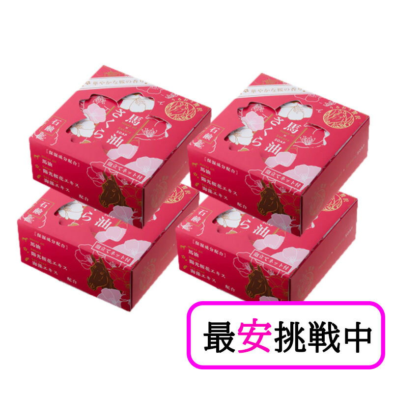 �����������и� 100g 4�ĥ��å� ˢΩ�ƥͥå��դ� �����Ф��� ���� �����󥱥� ����ȩ