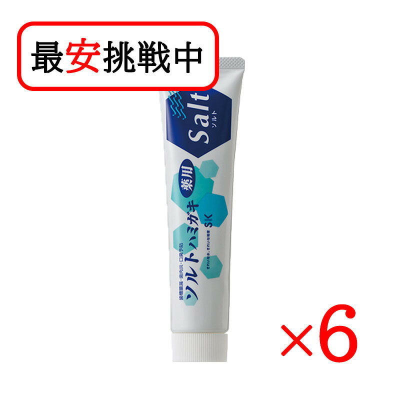 薬用ソルトハミガキ 140g 6本セット 無添加 歯磨き粉 医薬部外品 虫歯予防 エスケー石鹼