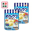 ニップン めちゃラクアイスの素 バニラ風味 50g 2袋セット 手作り アイス お菓子 アイス作り体験