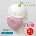 竹布 キッズマスク TAKEFU うるおいマスク 布マスク 紅梅 こうばい 子供用 2枚セット