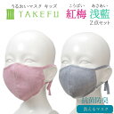 竹布 キッズマスク TAKEFU うるおいマスク 布マスク 浅藍 あさあい 紅梅 こうばい 子供用 2点セット