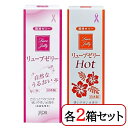 ジェクス リューブゼリー 55g リューブゼリーホット 55g 各2箱セット 潤滑ゼリー 水溶性潤滑ゼリー 女性用 日本製 性交痛緩和