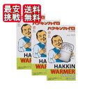 ハクキンカイロ スタンダード 3個セット ハクキンウォーマー HAKKIN 懐炉 燃料式