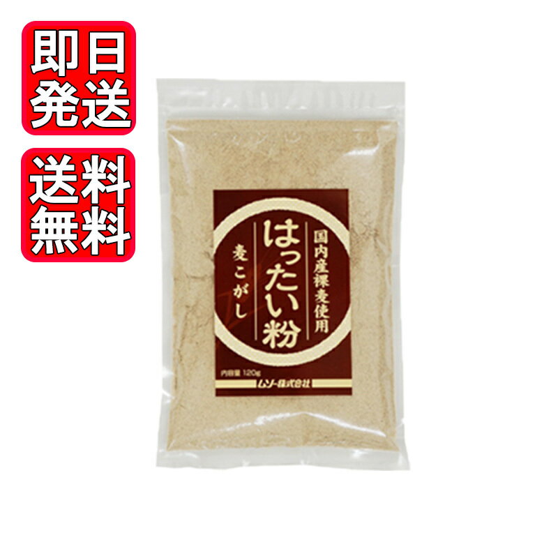 国内産裸麦使用 はったい粉 120g ムソー 麦こがし