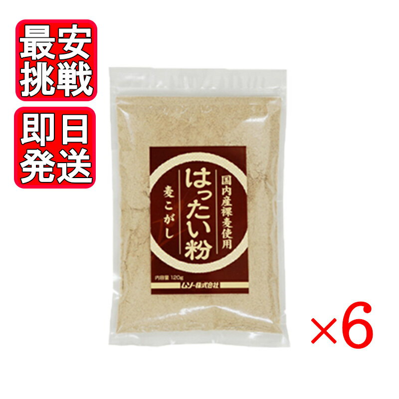 国内産裸麦使用 はったい粉 120g 6袋セット ムソー 麦こがし