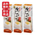 ムソー 旨味本来 生おろししょうがチューブ 40g 3個セット 香辛料 調味料 化学調味料不使用