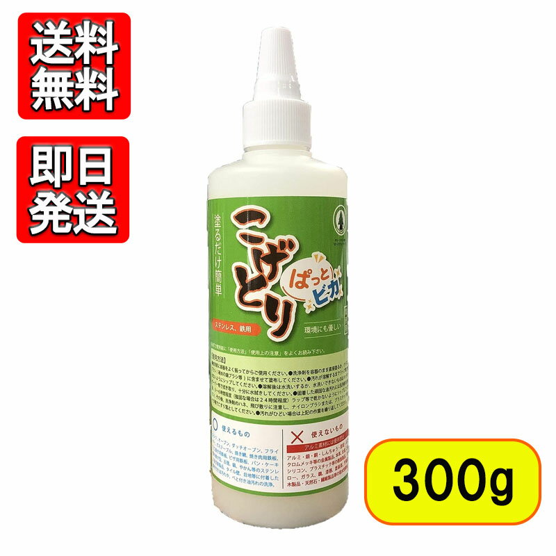 こげとり ぱっとビカ 300g 焦げ取り 