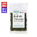 オーサワのわかめごはんのもと 20g 国産わかめ 昆布 おにぎり お茶漬け オーサワジャパン