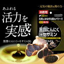 worldnext:10008718のサンプル画像2