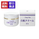 トミーリッチ 白肌クリームEX 50g シミカバー トーンアップ 美容クリーム 化粧品 スキンケア