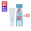 シャボン玉 薬用 せっけんハミガキ 80g 10個セット シャボン玉石けん 歯磨き粉 ミント(4)