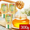 MY HONEY からだに優しいイヌリンはちみつ 300g 3本セット マイハニー イヌリンハニー チューブボトル 生はちみつ 蜂蜜