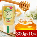 MY HONEY からだに優しいイヌリンはちみつ 300g 10本セット マイハニー イヌリンハニー チューブボトル 生はちみつ 蜂蜜