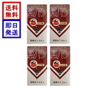 くろがね 堅パン ココア味 5枚入り ×4袋 スティックタイプ かたぱん 保存食 非常食 乾パン パン缶