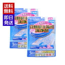 地の塩 自動製氷機用洗浄剤 (10g×3) 2袋セット クエン酸 台所用品 製氷機 掃除 洗浄 除菌 合成着色料不使用 無香料