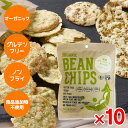 ムソーオーガニック 有機グリーンピースチップス 45g 10袋セット グルテンフリー お菓子 ノンフライ ダイエット オーガニック ヴィーガン ヘルシー|詳細画像