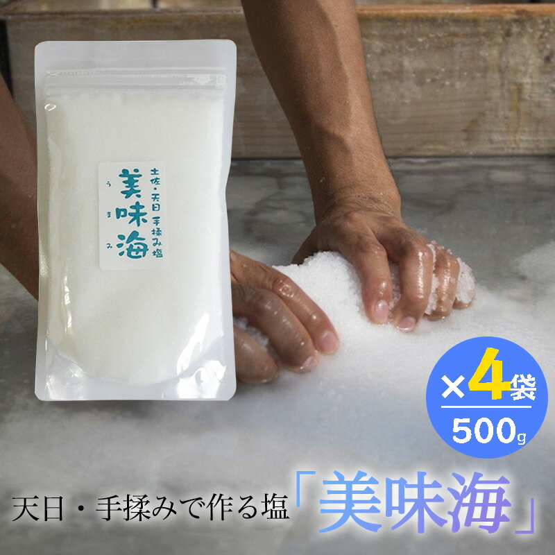 天日塩 美味海 500g 4袋セット うまみ 海工房 天日自然海塩 国産 塩 天然 高知県産 調味料...
