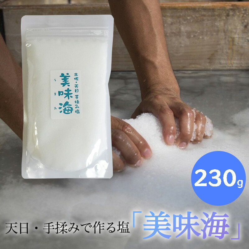 天日塩 美味海 230g うまみ 海工房 天日自然海塩 国産 塩 天然 高知県産 調味料
