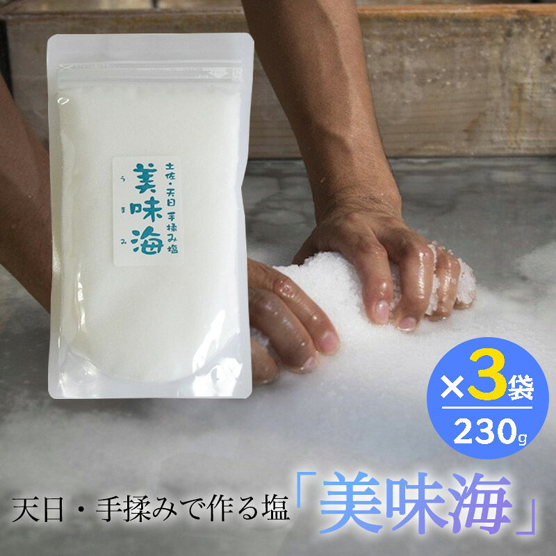 天日塩 美味海 230g 3袋セット うまみ 海工房 天日自然海塩 国産 塩 天然 高知県産 調味料