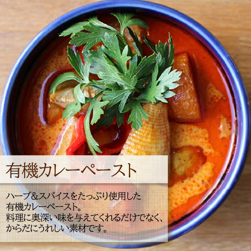ムソー 有機カレーペースト使用 レッドカレー 170g 4箱セット タイカレー レトルト 国産野菜 国産鶏肉 オーガニック カレー 3