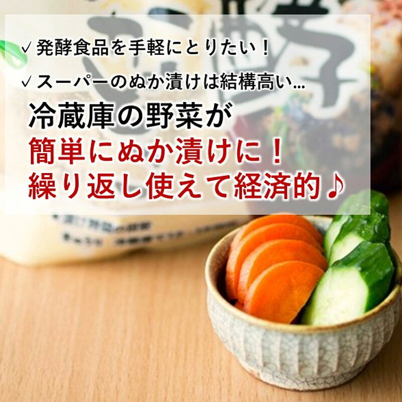 World NEXTのオークス レイエ ぬかどこボックス 500g LES3251 + みたけ 発酵ぬかどこ1kg 【2点セット】｜アングル3
