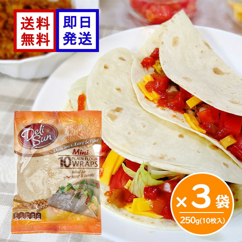 デリサン ミニフラワートルティーヤ 250g 10枚入 3袋セット トルティーヤ タコス ラップサンド ピザ パーティー キャンプ
