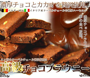 【送料無料！最安挑戦】訳ありスイーツ チョコレート 訳あり 高級チョコブラウニーどっさり1kg