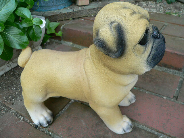 犬の置物 パグ おまけ付 いぬ イヌ 動物 2981H ガーデン ガーデニング オブジェ オーナメント マスコット置き物 置物 陶器 インテリア [2]