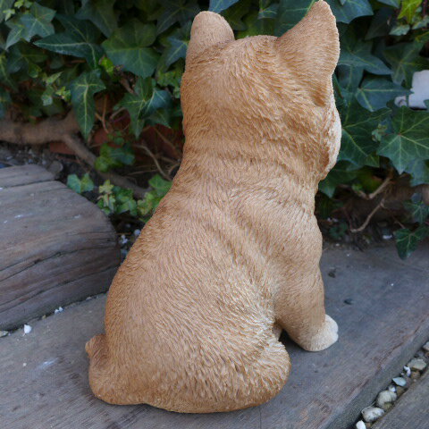 犬の置物 柴犬 子犬 豆柴 いぬ イヌ 動物 N12907 オーナメント ガーデン オブジェ 庭 雑貨 ガーデニング ガーデンマスコット リアル ディスプレィ