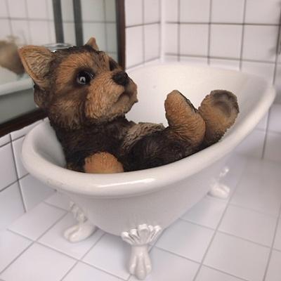 訳あり 犬の置物 ヨークシャーINバスタブ 14240 98QY キングチャールズ いぬ イヌ 動物 オーナメント ガーデン インテリア 雑貨 置物 庭 ガーデンマスコット インテリア マスコット リアル 陶器