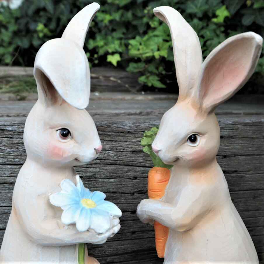 ����������ʪ ������������2�ʥ��å� N14084��85 ��ӥå� �� �����ʥ��� ������ ��ѥ󥪡��ʥ��� ���֥��� �����ǥ� �����ǥ˥� �ޥ����å� �ꥢ�� �ǥ����ץ쥤 �����ǥ˥󥰻��� ����ƥ�����