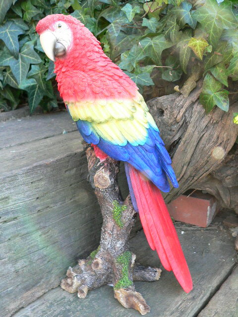 楽天市場】インコ(素材(インテリア)陶器・磁器)(インテリア 楽天市場】インコ(素材(インテリア)陶器・磁器)(インテリア