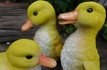 アヒルの置物 あひる3羽セット N12486 鳥 とり トリ オーナメント オブジェ 庭 ガーデン ガーデニング 雑貨 インテリア