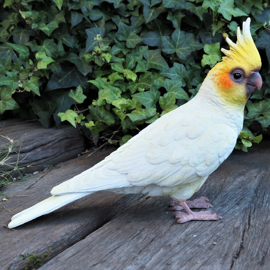 楽天市場】オブジェ セキセイインコの通販 楽天市場】オブジェ セキセイインコの通販