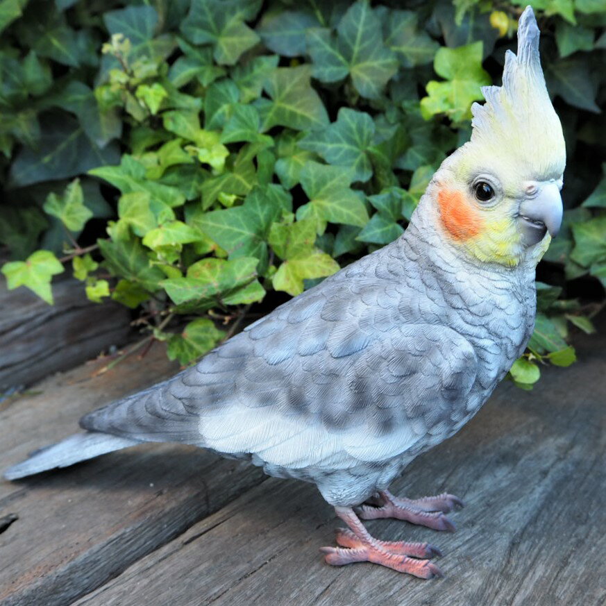 楽天市場】インコ(素材(インテリア)陶器・磁器)(インテリア 楽天市場】インコ(素材(インテリア)陶器・磁器)(インテリア