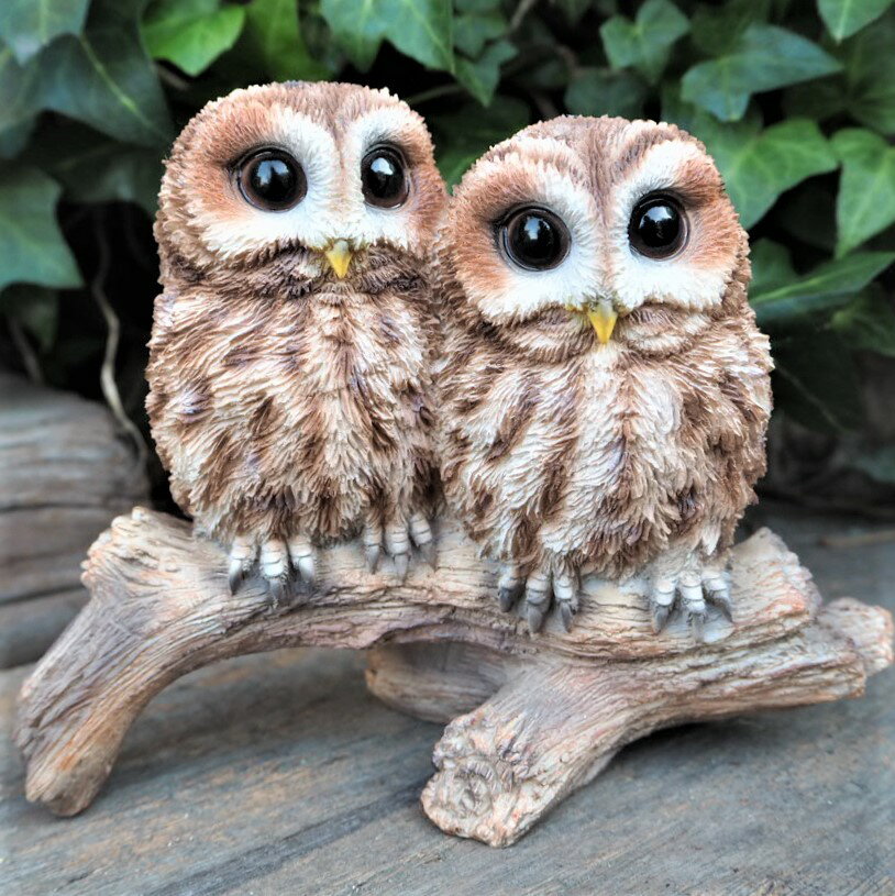 Rakuten - フクロウの置物 ふくろうペア N14028 ふくろうツイン オウル 鳥 とり 動物 オーナメント オブジェ ガーデン ガーデニング 置物 縁起物 雑貨 ナチュラル リアル ディスプレィ ガーデニング雑貨 アンティーク ナチュラル