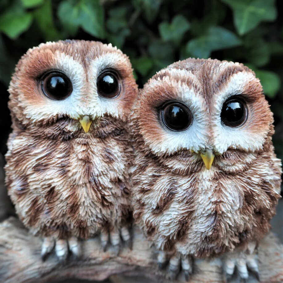 フクロウの置物 ふくろうペア N14028 ふくろうツイン オウル 鳥 とり 動物 オーナメント オブジェ ガーデン ガーデニング 置物 縁起物 雑貨 ナチュラル リアル ディスプレィ ガーデニング雑貨 アンティーク ナチュラル [2]