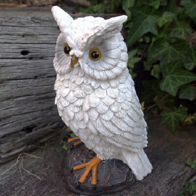 Rakuten - 訳あり 白フクロウの置物（19.5cm） ふくろう KI 鳥 とり 動物 オーナメント オブジェ ガーデン ガーデニング 置物 縁起物 雑貨 ナチュラル リアル デスプレィ マスコット