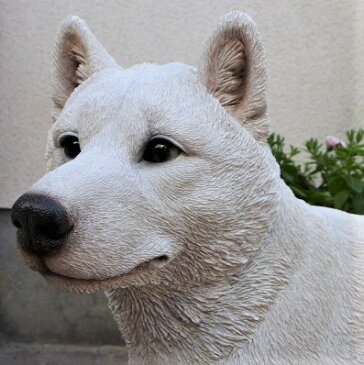 犬の置物 大型柴犬白 N13468 いぬ イヌ 動物 オーナメント ガーデン インテリア 雑貨 置物 庭 ガーデンマスコット オブジェ ガーデニング リアル ディスプレィ