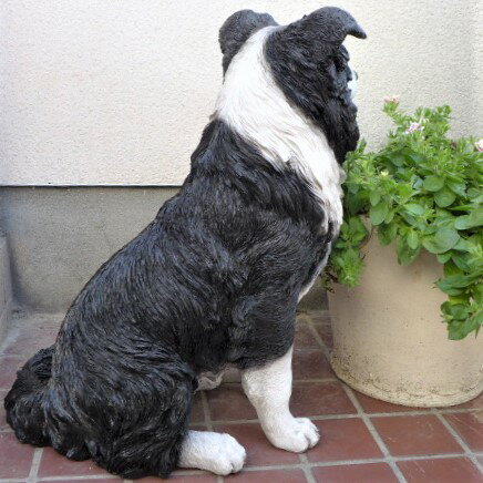 犬の置物 大型犬 ボーダーコリー ｔ１４０５３ いぬ イヌ 動物 オーナメント ガーデン インテリア 雑貨 置物 庭 ガーデンマスコット リアル デスプレィ わくわくガーデン